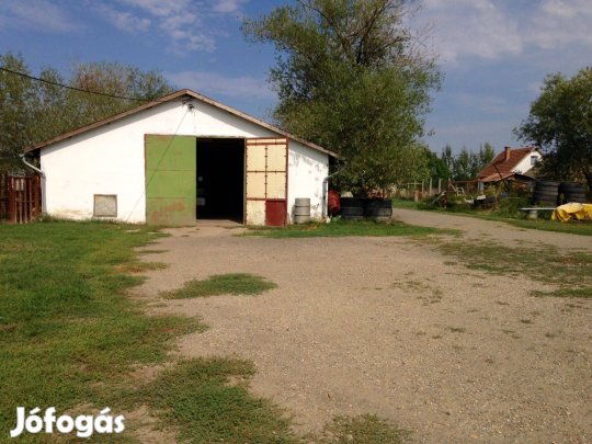 Eladó Telephely Füzesgyarmat, Békés megye