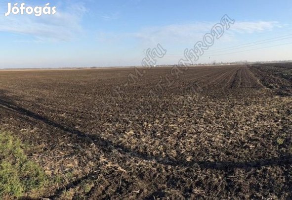 Eladó Termőföld - Óföldeák