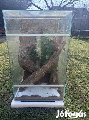 Eladó Terrárium