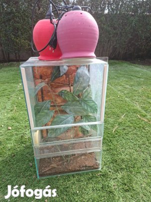Eladó Terrárium