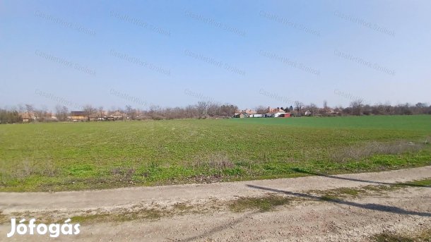 Eladó Tiszaföldváron egy  1743 m2-es építési telek.