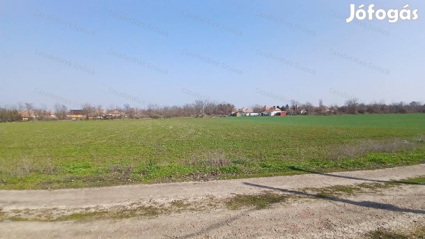 Eladó Tiszaföldváron egy  3310 m2-es építési telek.