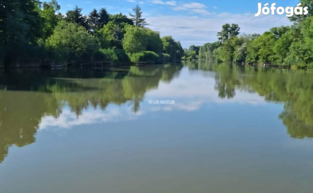 Eladó Üdülőtelek Gyomaendrőd