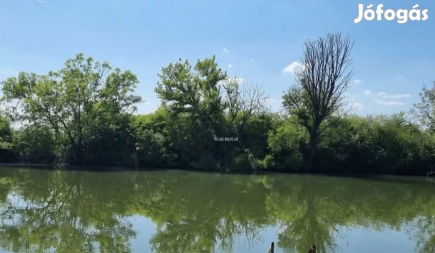 Eladó Üdülőtelek Gyomaendrőd