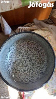 Eladó Új halászlé főző bogrács