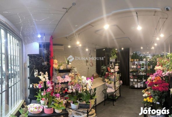 Eladó Üzlethelyiség, Budapest 5. ker.