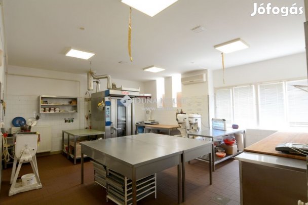 Eladó Üzlethelyiség, Fülöpszállás