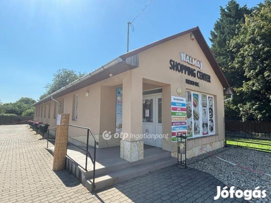 Eladó Üzlethelyiség, Halmaj