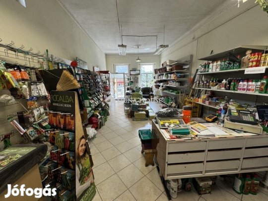 Eladó Üzlethelyiség, Kecskemét