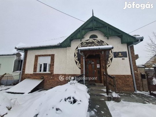 Eladó Üzlethelyiség, Kerecsend