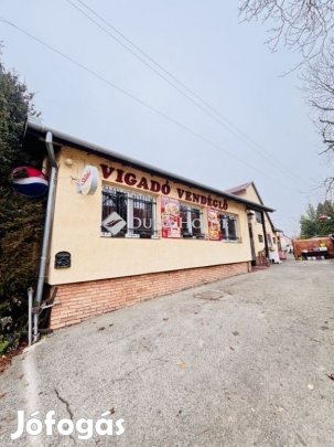 Eladó Üzlethelyiség, Pécs