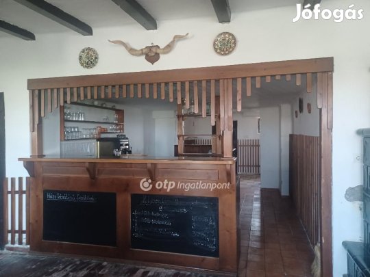 Eladó Vendéglátó, Gyomaendrőd