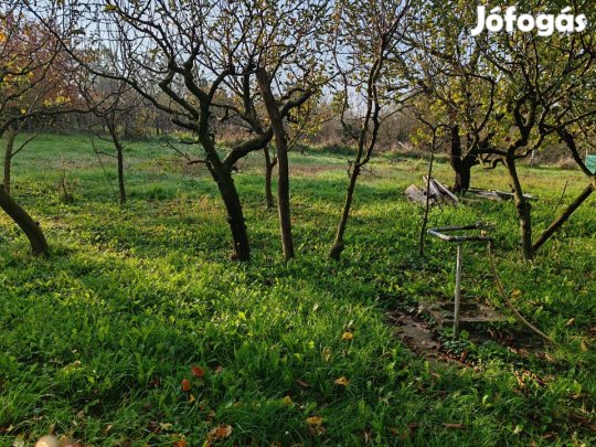 Eladó Zártkert Zalaegerszeg