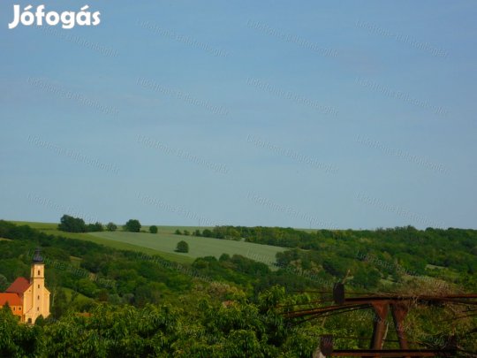 Eladó: TÜZÉP 1 HA területen, 340 m2 épületekkel!