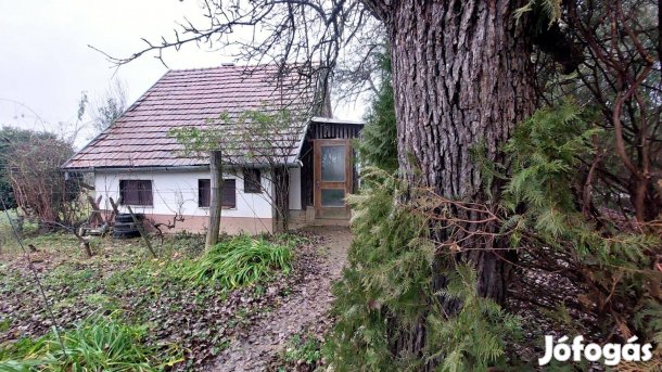 Eladó: hétvégi ház és több mint 4.000 m-es kert, szőlő és gyümölcsös