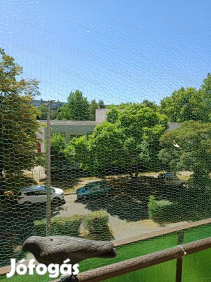 Eladó a belvárosban egyedi kialakítású, felújított lakás.