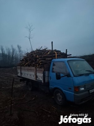 Eladó akác fa 
