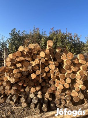 Eladó akácfa termékek!