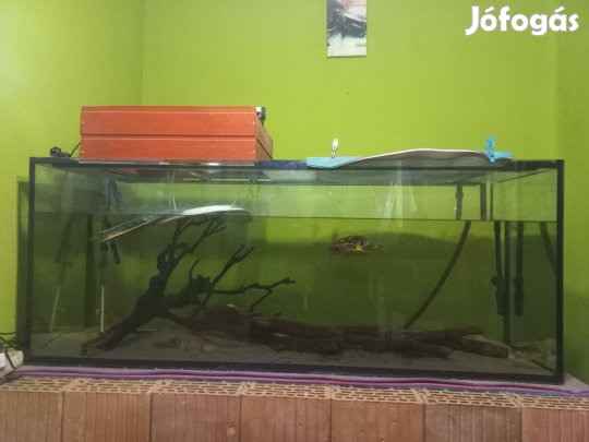 Eladó akvárium!