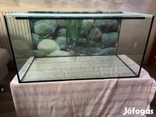 Eladó akváriumok