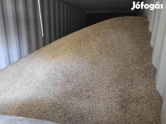 Eladó árpa búza gabona