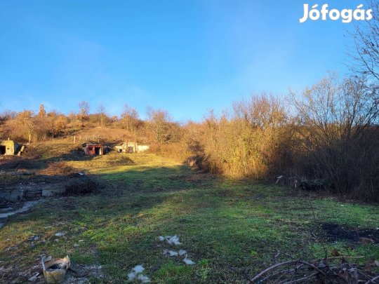 Eladó az Egyetem mellett 3817 m területen elhelyezkedő telek!