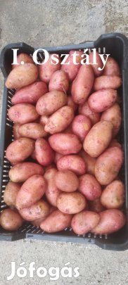 Eladó balatoni rózsa burgonya