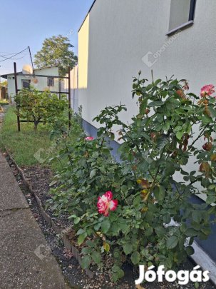 Eladó barátságos kertkapcsolatos társasházi lakás Komárom szívében!