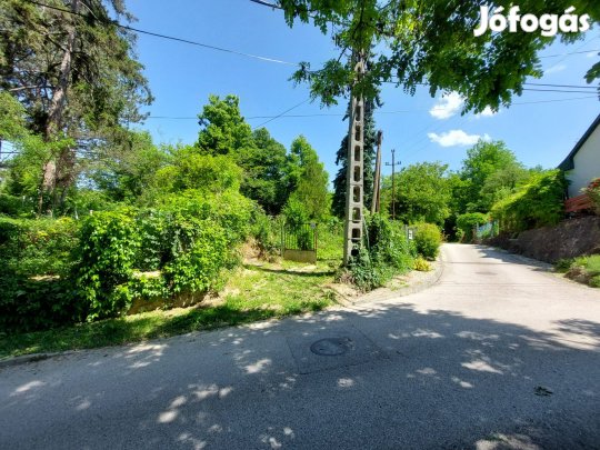 Eladó belterületi 2066 m2 építési telek 30% beépíthetőséggel