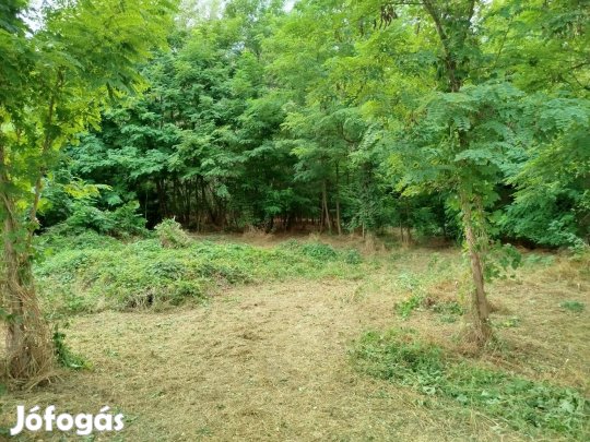 Eladó belterületi építési telek Cserkeszőlőn a Gyógyfürdőtől 450m-re