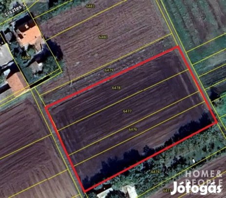 Eladó belterületi építési telek Makón!