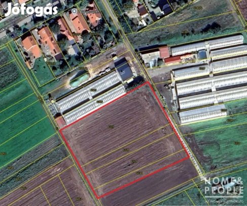 Eladó belterületi építési telek Makón!