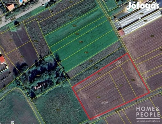 Eladó belterületi építési telek Makón!
