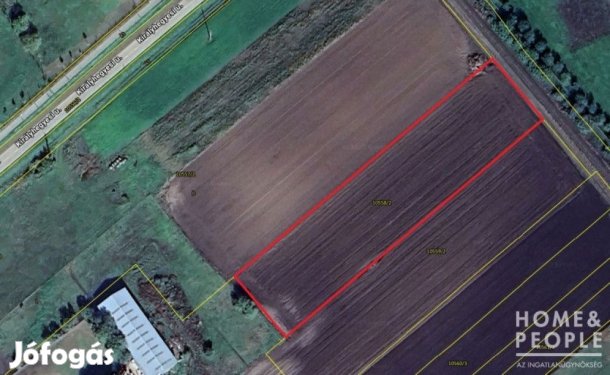 Eladó belterületi építési telek Makón!