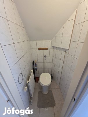 Eladó belvárosi ingatlan