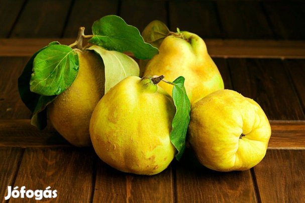 Eladó birsalma főzet