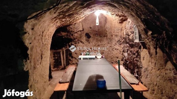 Eladó borospince Abaújszántón