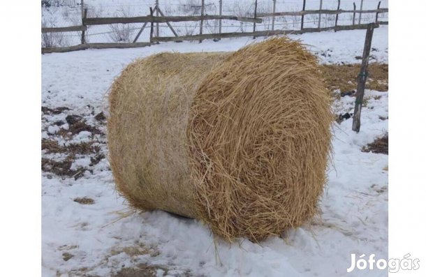 Eladó búza szalma bála