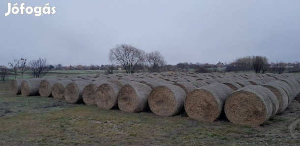 Eladó búzaszalama