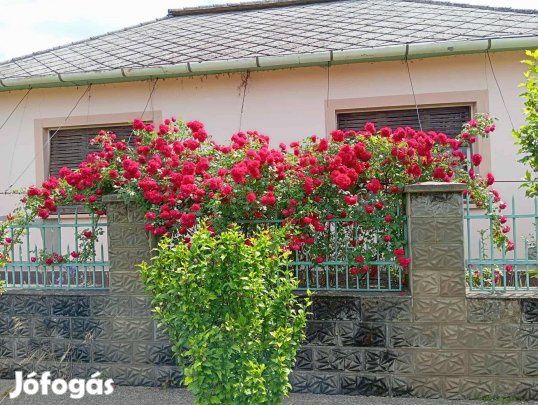 Eladó családi ház(160m2) plusz 700m2 melléképület