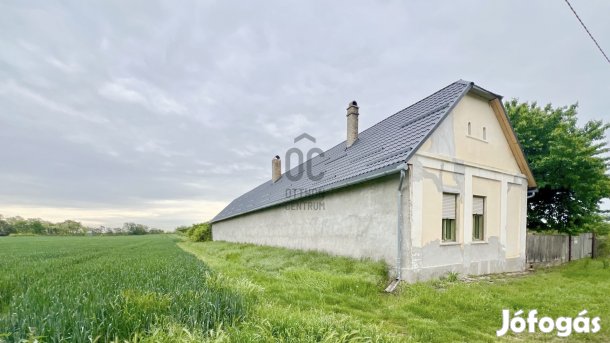 Eladó családi ház 1,3 hektáros területtel Medinán