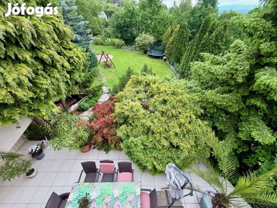 Eladó családi ház Szentendre, Családi terek hosszú távra tervezve