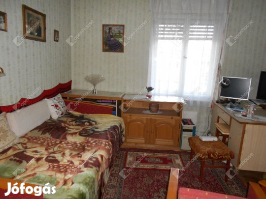 Eladó családi ház, nyári konyhával, pincével, kerttel.