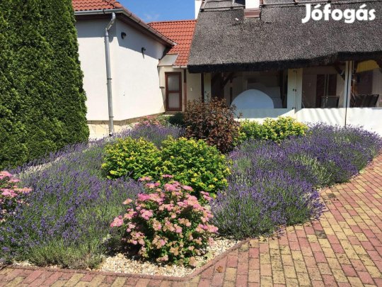 Eladó családi ház a Tisza-tónál, Sarudon