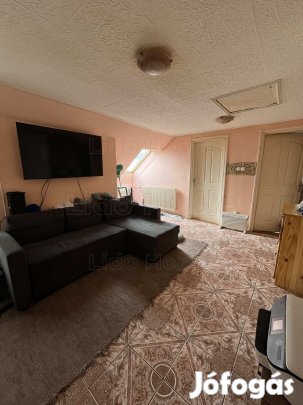 Eladó családi ház a nagy teret kedvelőknek