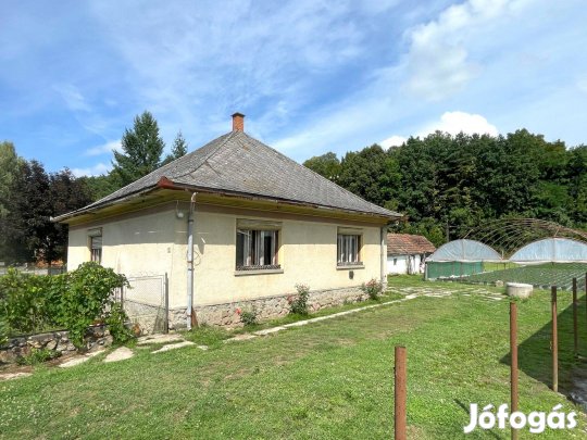 Eladó családi ház és virágkertészet!