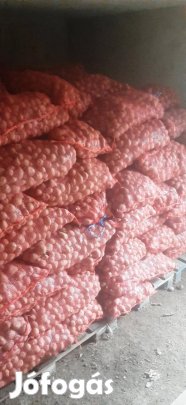 Eladó desiree vetőburgonya!