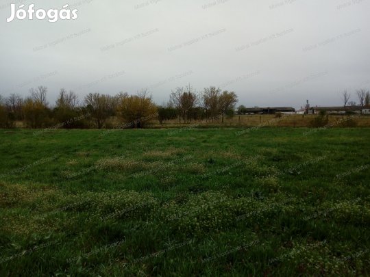 Eladó egy3 816 nm-s mezőgazdasági terület Szolnokon
