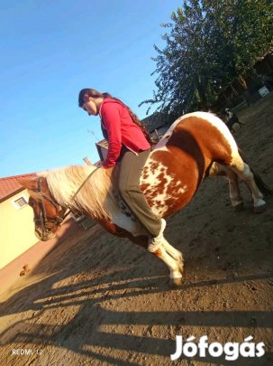 Eladó egy Póni ló 