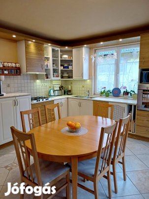 Eladó egy csendes, zöld környezetben 2008-as családi ház szuterénnel,